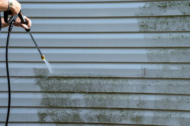 Best Property Management Cleanouts  in West Hattiesburg, MS